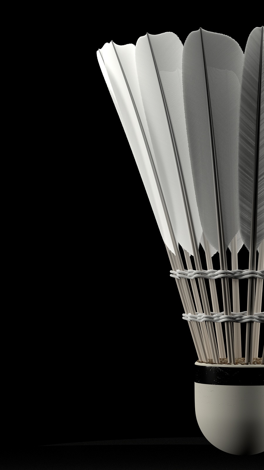 神秘的面纱 神秘的面纱