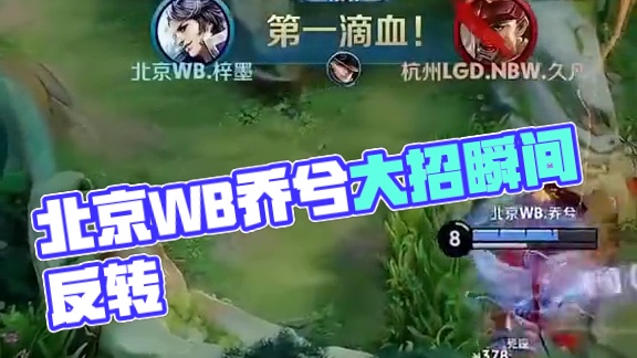 展示了他们 展示了他们